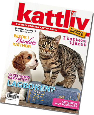 Kattliv 1 2010