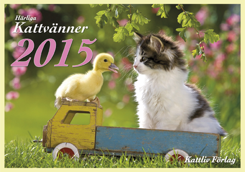 Härliga Kattvänner