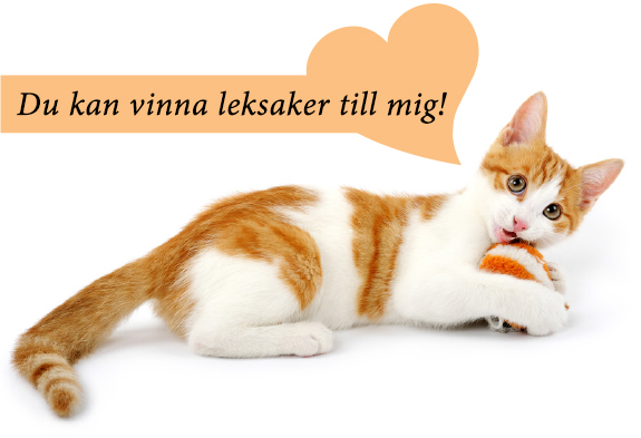 vinn Kattliv