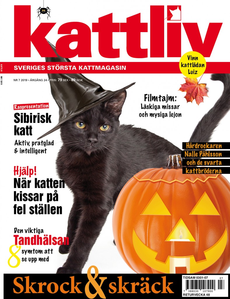 Kattliv nr 7